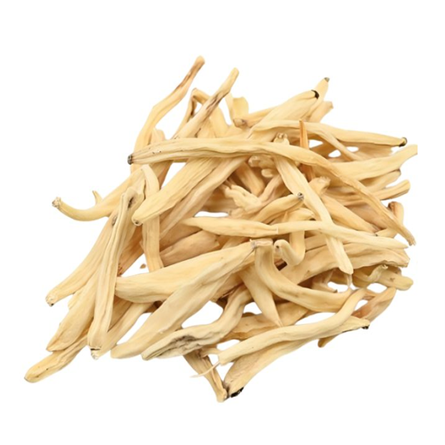 Safed Musli